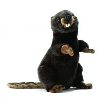Peluche Anima Castor Dresse 30 Cm - Anima