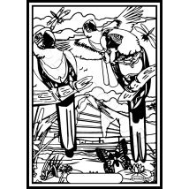 Tableau Velours A Colorier Perroquets Riviere Sericolor