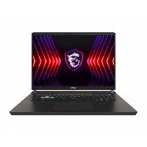 Msi Vector 17 Hx A14vhg-617fr - Msi