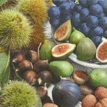 Pqt 20 Serviettes Taste The Autumn - Graine Creative