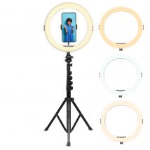 Agfaphoto Ring Light Realiview Arl11xl Eclairage Annulaire Led Avec Trépied - Lumière Pour Téléphone Portable, Photos, Selfies, Vidéos, Youtube, 