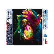 Diamond Painting Broderie Diamant Figured’art 40x50cm Toile Entière Roulée Avec Diamants Carrés - Singe En Couleur - Figured'Art