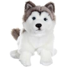 Peluche Chien Husky - - Assis, 25 Cm - Gipsy Toys