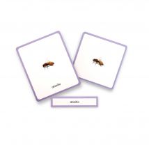 Mini-mondy - 90 Cartes - Animaux - Langage - ObserveMontessori