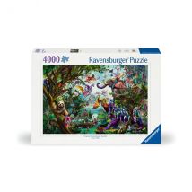 Puzzle 4000 Pièces Ravensburger Dragons Des Tropiques