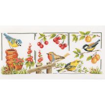 Kit Point Comptés Oiseaux De Jardin 30 X 50 Cm - Marie Coeur