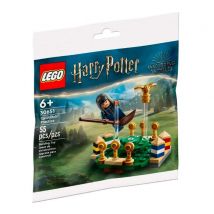 Lego Harry Potter 30651 L'Entraînement De Quidditch Lego Harry Potter