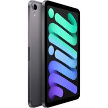 Tablette Apple Ipad Mini Wi-fi + Cellular Stockage 256 Go Gris 12 Mpx 8.3