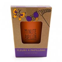 Kit De Plantation Message minute Papillon Avec Graines De Fleurs A Papillons À Semer - Radis et Capucine