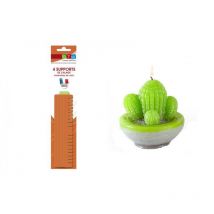 Moule À Bougie Cactus En Latex + Supports De Calage - Graine Creative