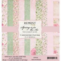 10 Papiers Scrapbooking 30 X 30 Cm Reprint Spring Is In The Air Scrapbooking