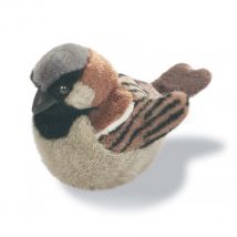 Peluche Sonore Moineau Domestique - Wild Republic