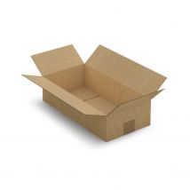 20 Cartons D'Emballage 40 X 20 X 10 Cm - Simple Cannelure - Raja