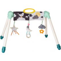 Portique D'Éveil Mini Lune - Taf Toys