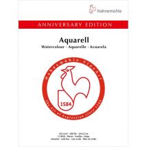 Bloc Aquarelle Édition Anniversaire 425g/m2 15feuilles 24x32cm - Hahnemühle