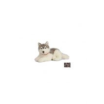 Peluche Géant Husky - Keycraft