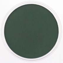 Panpastel 9ml Permanent Green Extra Dark - Panpastel