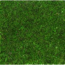 Herbe Synthétique - 30x30 Cm - Artemio