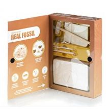 Kit De Fouille De Fossiles - Keycraft