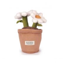 Doudou Botanic - Marguerite 25cm - Doudou et Compagnie