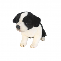 Peluche Border Colley Bebe Assis 25cm - Anima