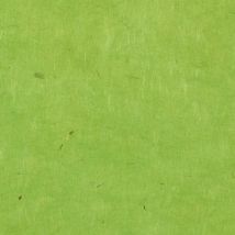 Papertree 50*70 Lokta Paper Anise - Lot De 10 Feuilles - Papertree