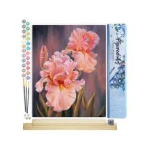 Peinture Par Numéro Figured'art - Iris Rosé - Kit De Loisir Créatif Diy Numéro D'Art Complet - 40x50cm Toile Roulée + Châssis En Bois À Monter