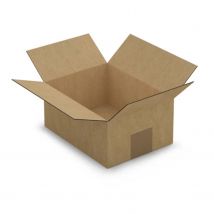 15 Cartons D'Emballage 20 X 15 X 9 Cm - Simple Cannelure - Raja