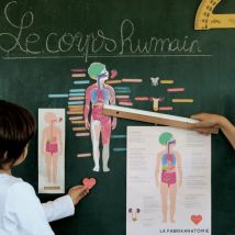 Magnets Le Corps Humain - La cabane à rêve