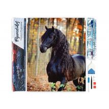 Diamond Painting Broderie Diamant Figured’art 40x50cm Toile Entière Roulée Avec Diamants Carrés - Jument Noire - Figured'Art