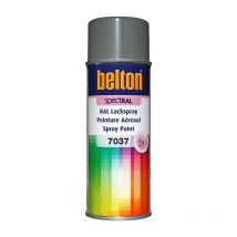 Bombe De Peinture Belton Spectral Ral7037 Gris Poussière