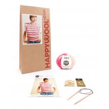 Kit Tricot Pull Luc Zumba 46/48 - Pingouin