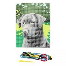 Kit Complet Canevas 15 X 20 Cm Motif Chien Labrador - Distrifil