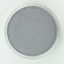Panpastel 9ml Etain - Panpastel