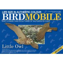 Birdmobile Chevêche D'Athéna - Oiseaux