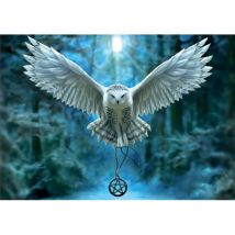 Puzzle Chouette : Réveille Ta Magie 500 Pièces - Collection Fantastique - Educa - 17959 - Educa