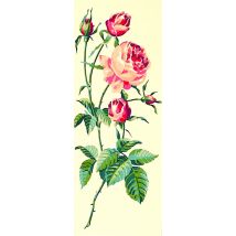 Canevas Antique Rose 25x60cm - SEG