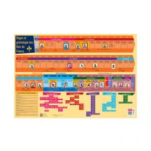 Poster Pédagogique - Les Rois De France - Histoire - 52x76cm - A Afficher - Bouchut - La Maison Du Calendrier