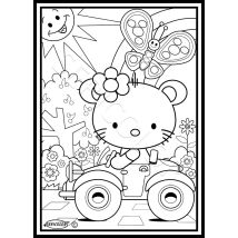 Tableau Velours A Colorier Tikky Voiture Sericolor