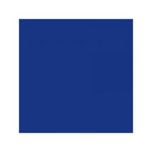 Marqueur Permanent - Marking Onyx 1591 Pointe Biseau - Bleu - Bic - BIC