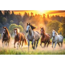 Puzzle 1500 Pièces - Chevaux Sauvages - Trefl