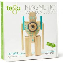 Blocs Magnétiques Magbot - Tegu