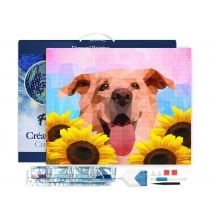 Diamond Painting Broderie Diamant Figured’art 40x50cm Toile Tendue Sur Châssis En Bois - Diamants Carrés - Chien Polygon Art - Figured'Art