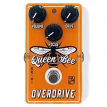 Caline Cp-503 Queen Bee Overdrive