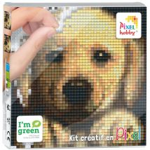 Kit Créatif Pixel Tableau 12x12cm Chien - Pixel ou Pixel kit