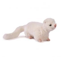 - Peluche Furet Blanc 23cml