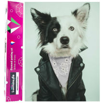 Diamond Painting Broderie Diamant Luminlife 66x44cm, 5d, Diamants Ronds - Cool Border - No Name