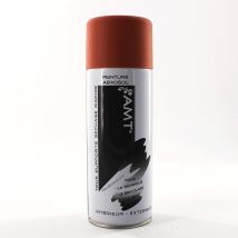 Bombe De Peinture Blush Mat 330ml - Amt