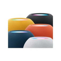 Enceinte Sans Fil Apple Homepod Mini Wifi Bleu - Apple