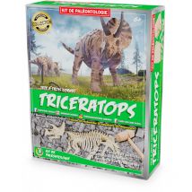 Kit Paleo - Triceratops - Ulysse